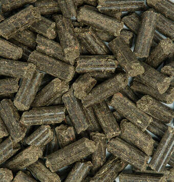 kachelnavi pferdefutter belohnung